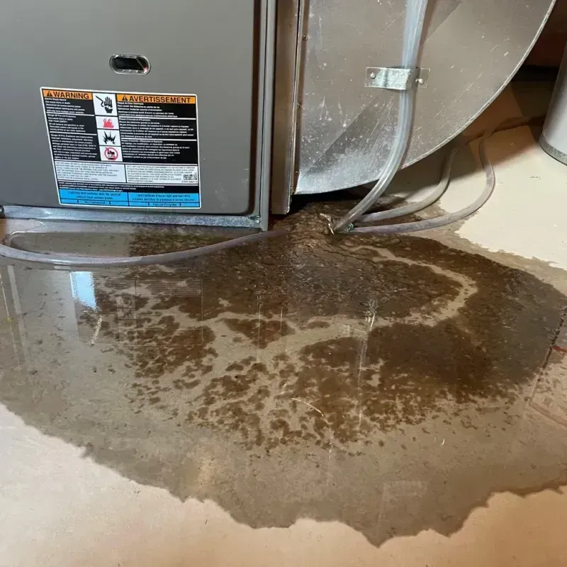 Appliance Leak Cleanup in Robertson County, TX